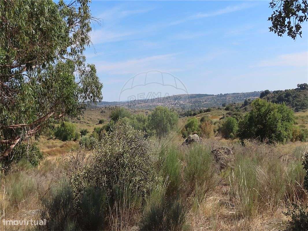 Quinta  para venda-10