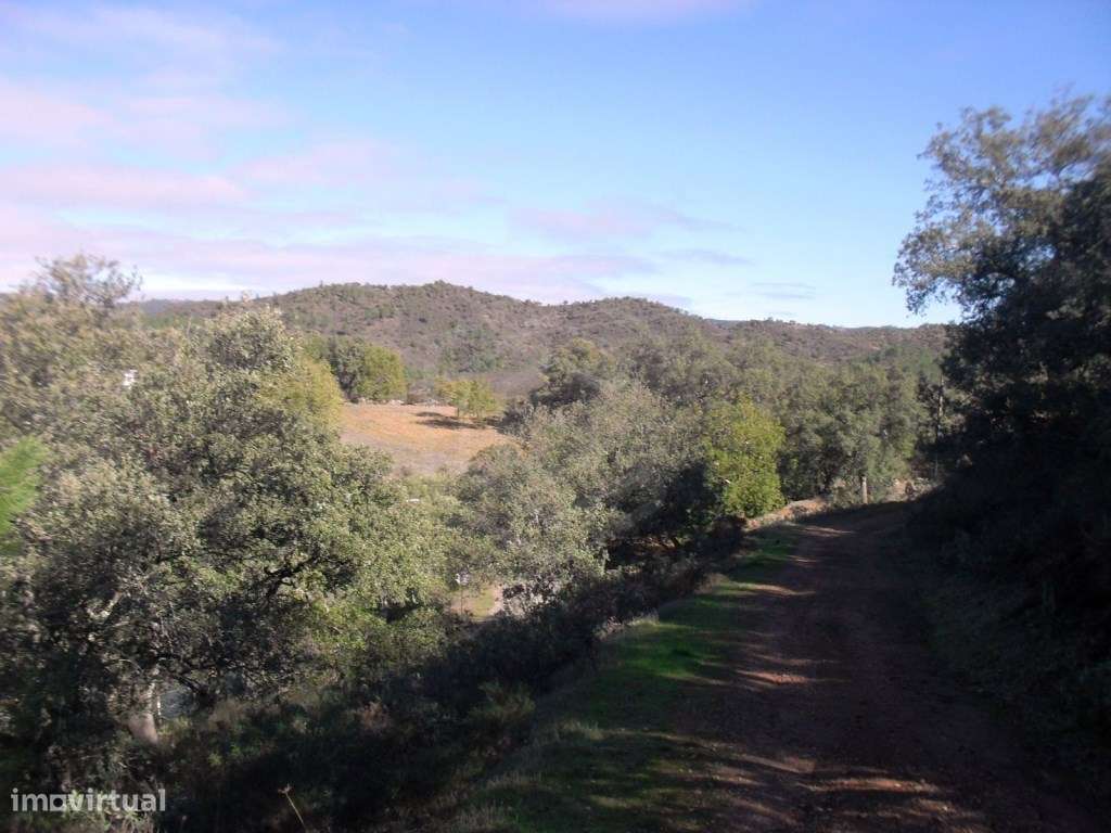 Propriedade Rural com Projeto Aprovado, Loulé, Algarve - Grande imagem: 4/9