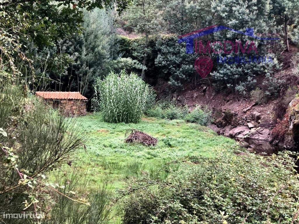 Terreno em socalcos com 700 m2 e anexo, a confinar com ribeira de Mega - Grande imagem: 5/10