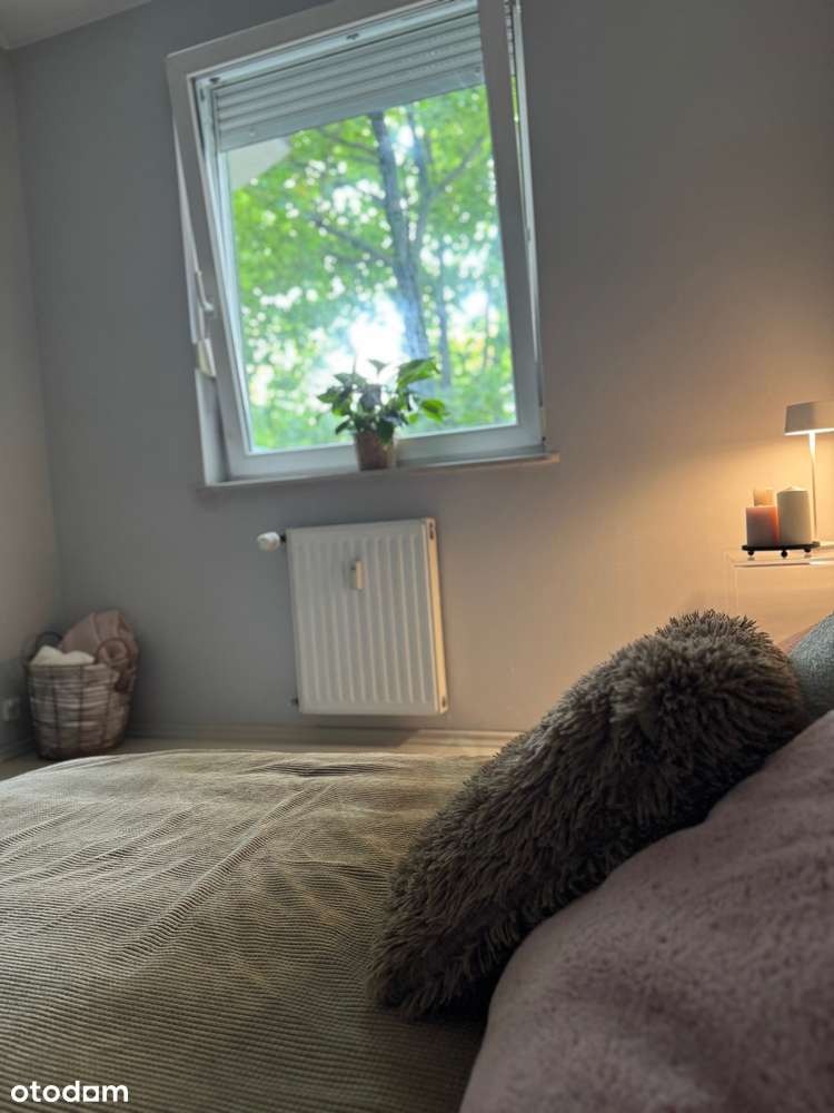 Nowość, Szamarzewskiego 2 pokoje-4