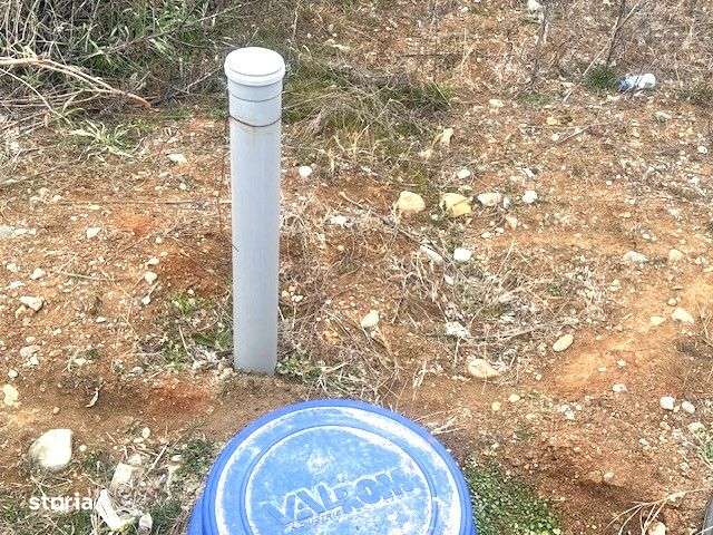 Casa cu teren 1142 mp in Curtisoara - Imagine principală: 4/8