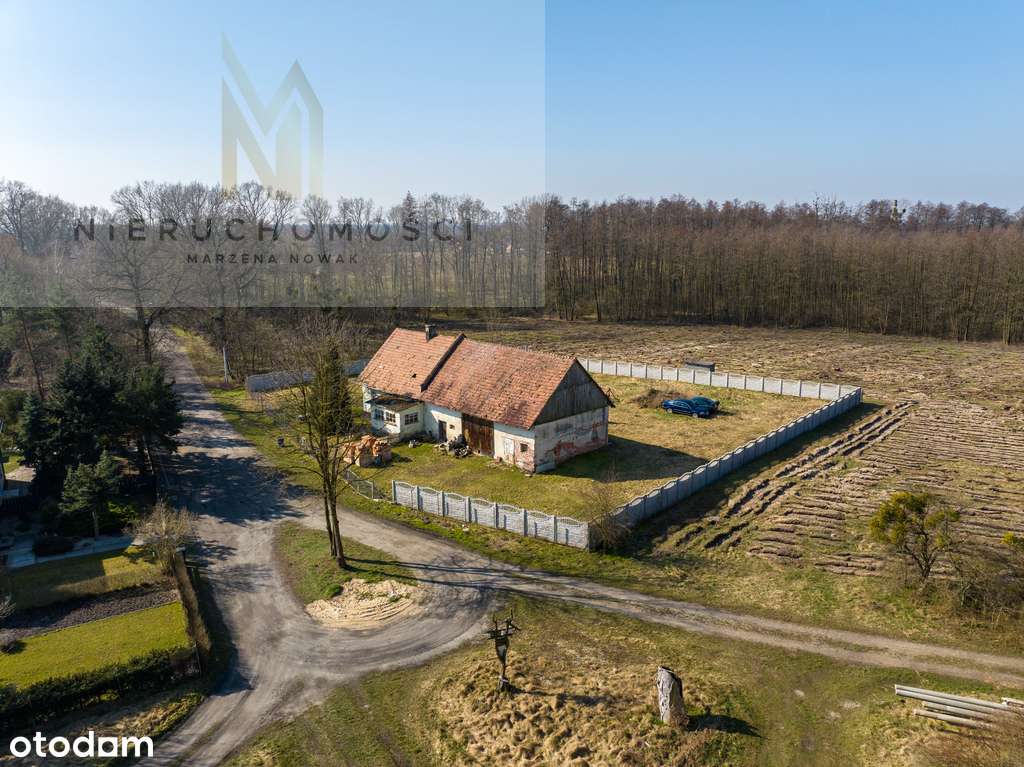 Dom na dużej działce pod lasem, Szczepanów - Pełny obrazek: 4/19