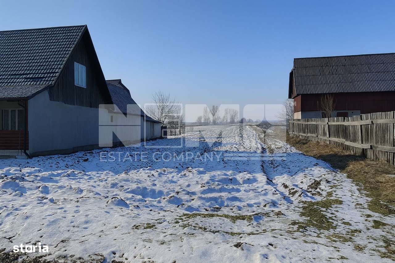 Teren | Maneuti | Strada principala | 38 ARI - Imagine principală: 5/9