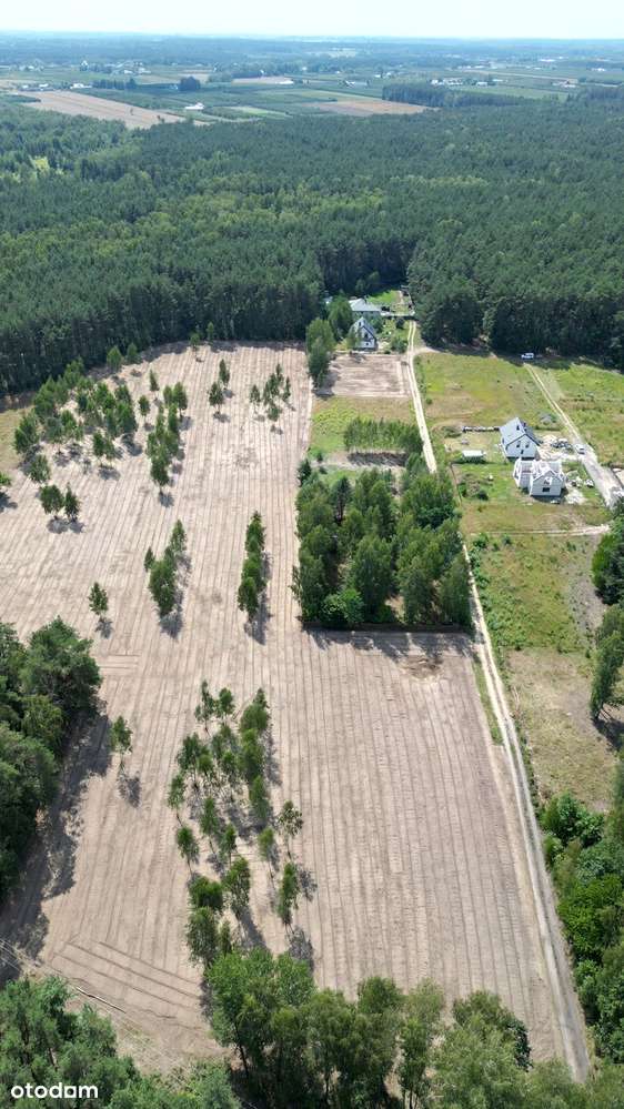 Działka budowlana 1520 m2, MPZP, 4 km od Tarczyna, 30 od Warszawy - Pełny obrazek: 5/14