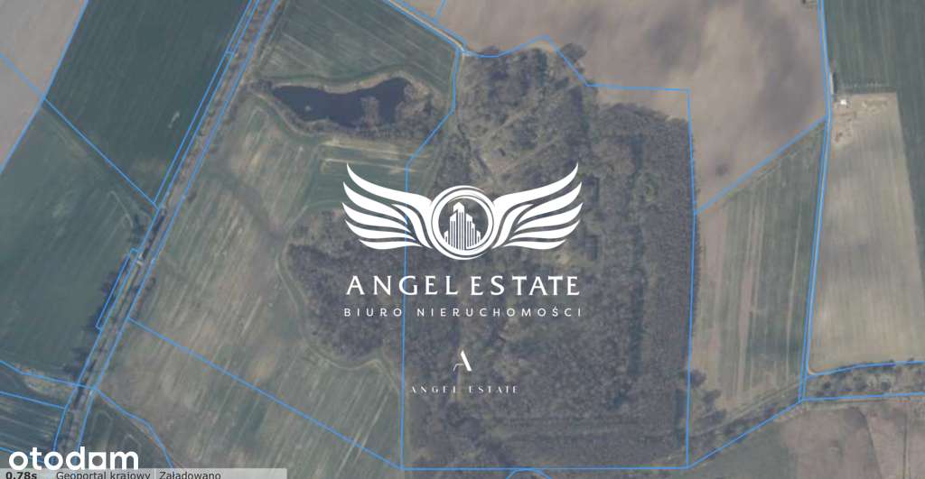 Ogrodzona działka 22 ha z prądem-5