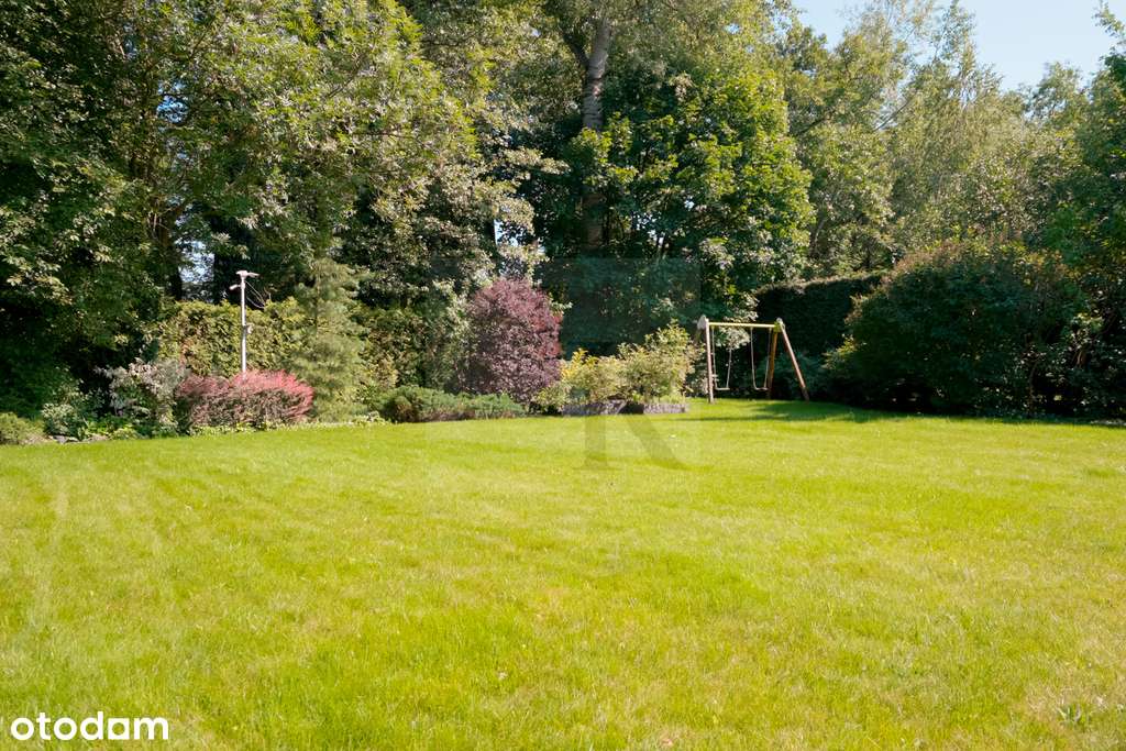 Kupujący nie płaci prowizji!-19