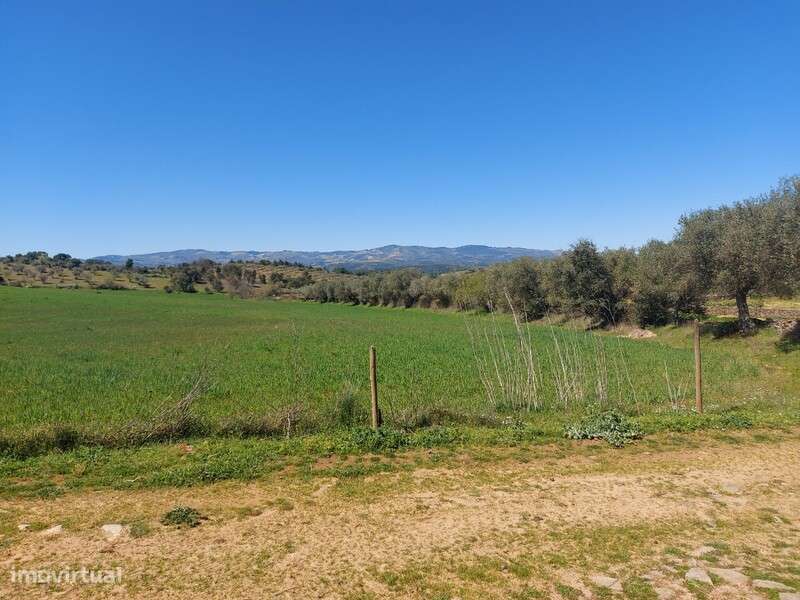 Venda Judicial Terreno Rústico Prado Castro Vicente Mogadouro - Grande imagem: 4/14