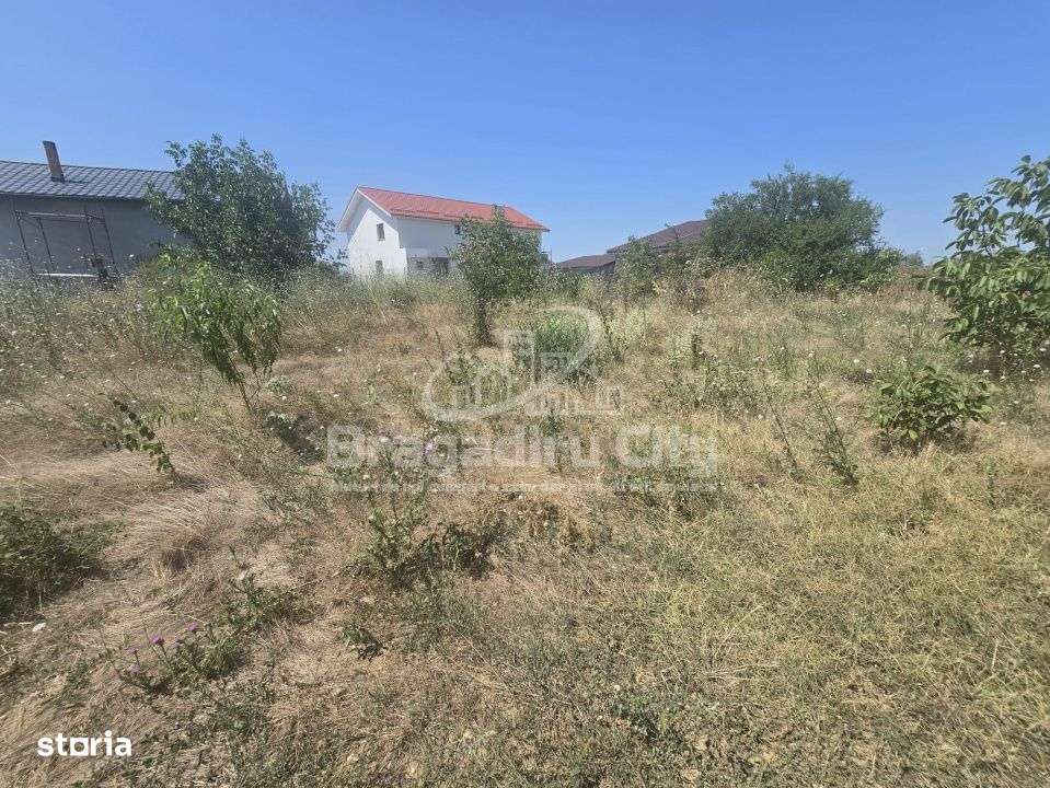 Teren parcela 545mp Drumul Targului Domnesti - Imagine principală: 5/7