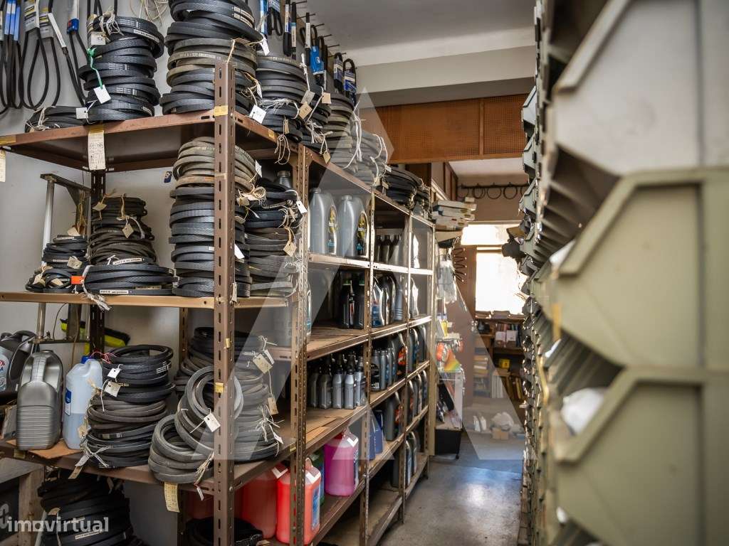 Trespasse em Albergaria-a-Velha-11