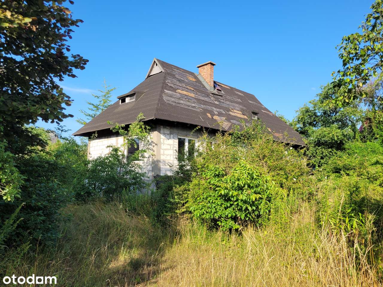Duża działka inwestycyjna z domem - Stara Rumia - Pełny obrazek: 3/16