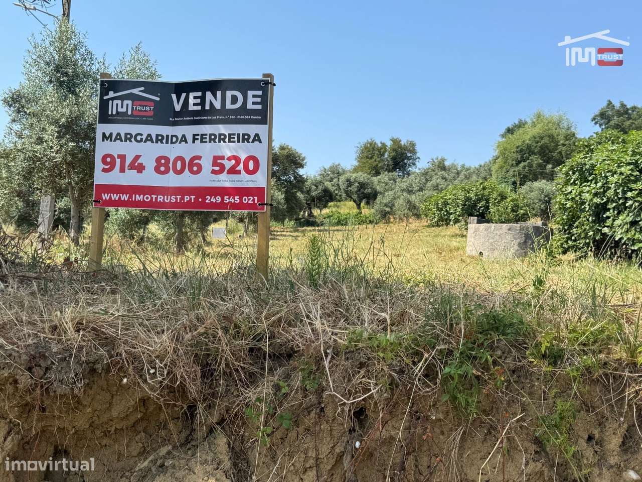 Terreno rústico com olival, poço e possibilidade de instalar Estufa... - Grande imagem: 3/31