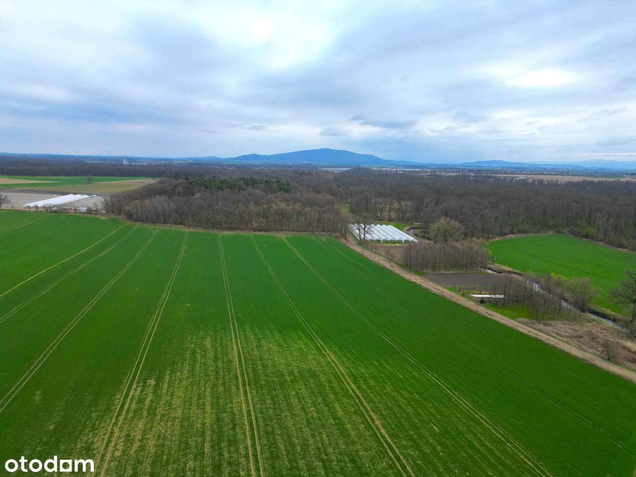 Ujów | Działki z potencjałem | Spokojna okolica | Blisko przyrody i A4 - Pełny obrazek: 5/9