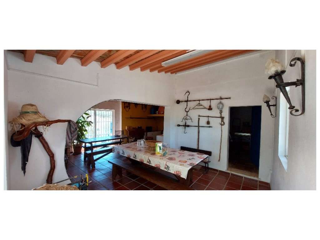 HERDADE 92 ha l Colos-20