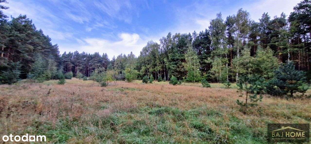 Działka na sprzedaż Grupa; gmina Dragacz-6