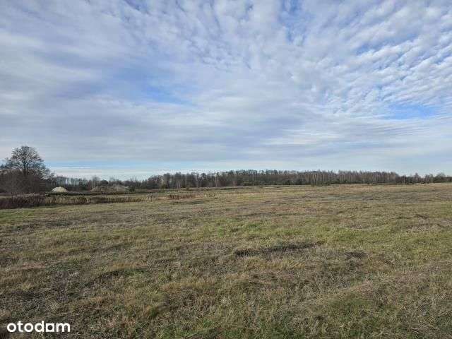 Sprzedaż 4 działek po 3000 m2-2