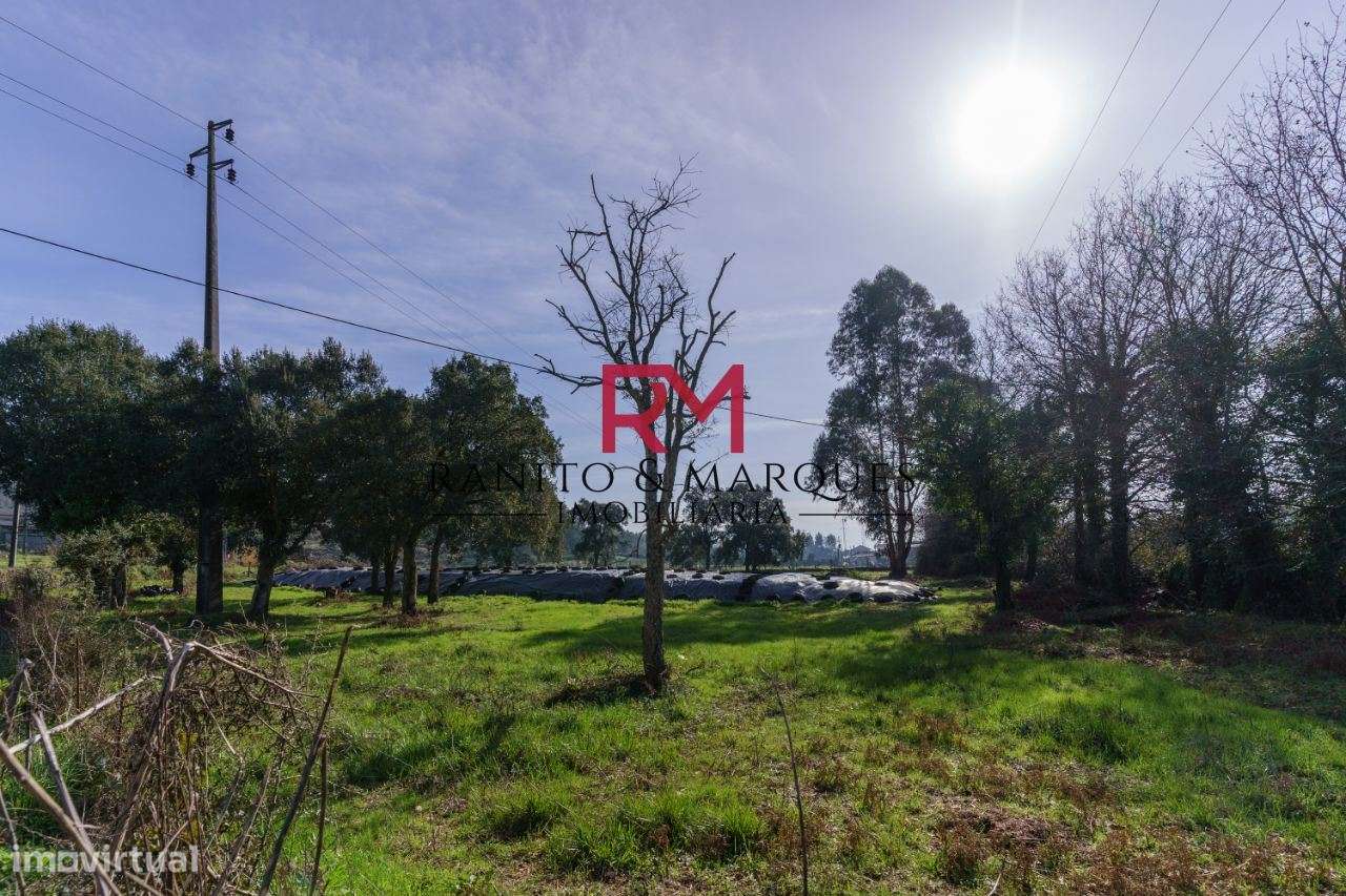 TERRENO PARA CONSTRUÇÃO - CENTRO DE VALONGO - Grande imagem: 2/11