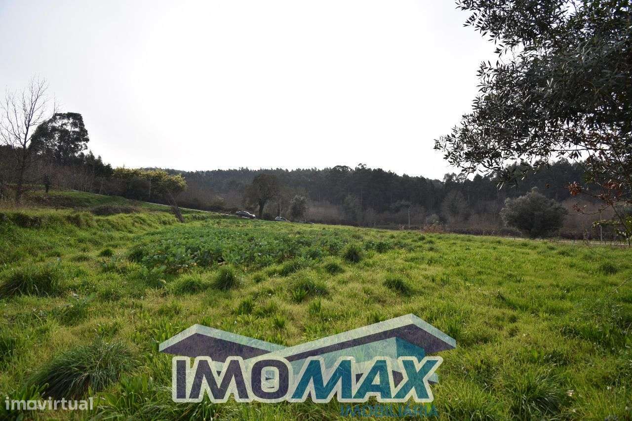 Campo das Porcas - Capela,Penafiel - Grande imagem: 3/4