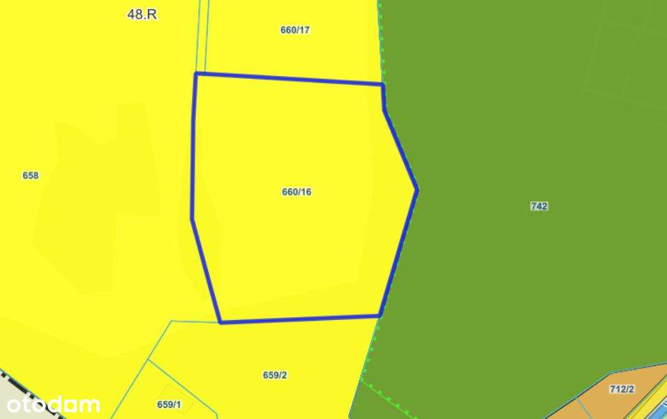 Działka w Górach Sowich - Pełny obrazek: 4/10