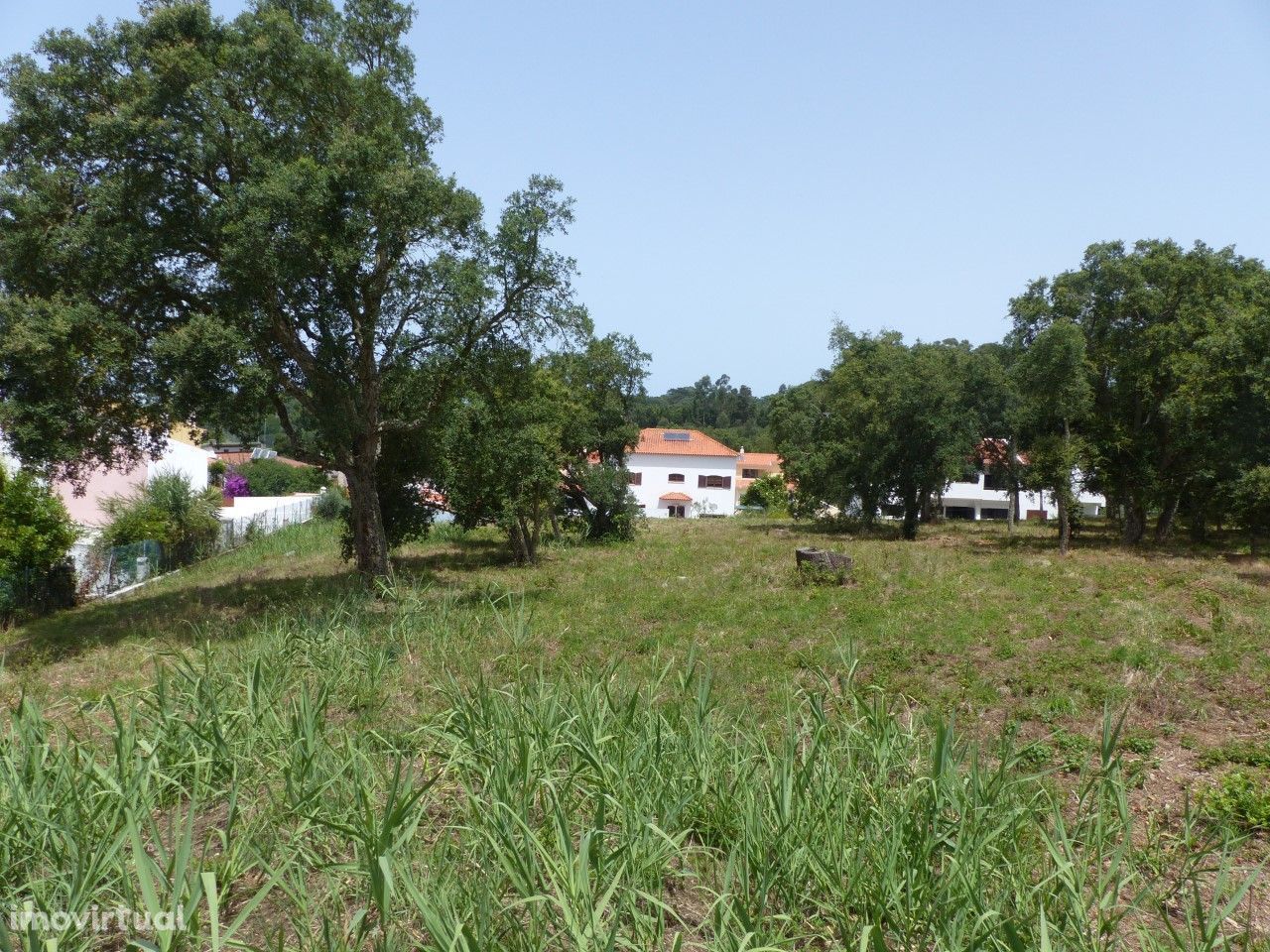 Terreno para construção em Caldas da Rainha - 7.106 m2