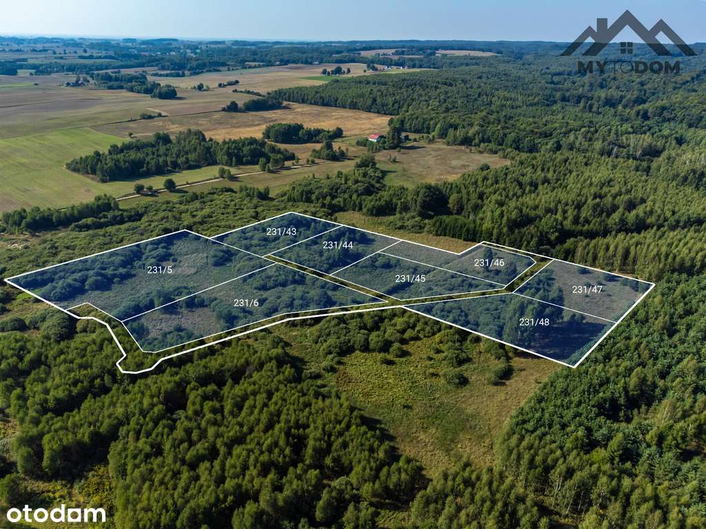 Kompleks działek w otulinie lasu, Elgnowo - Pełny obrazek: 4/6