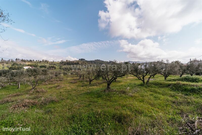 Terreno / Fundão, Alcaria