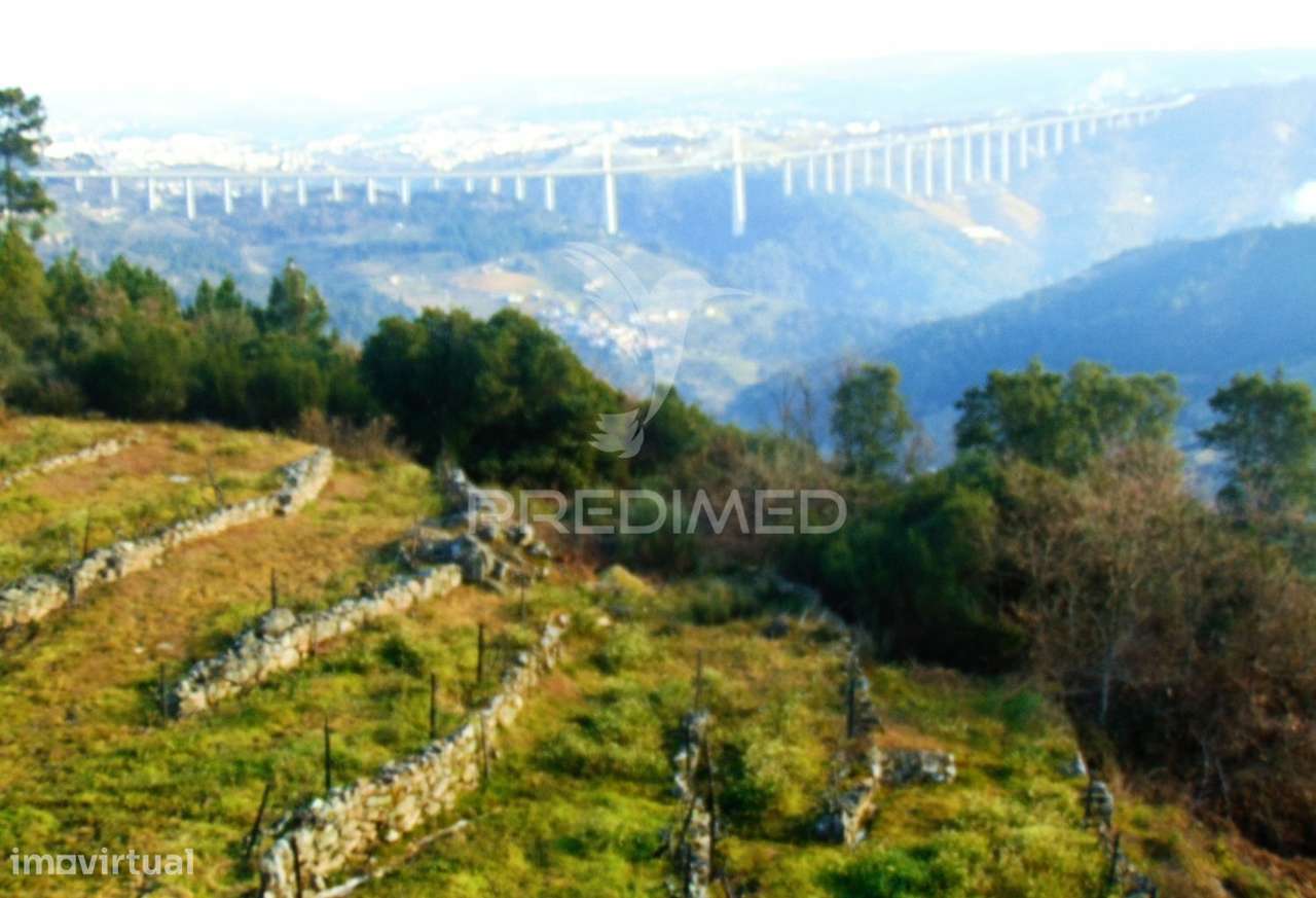 Terreno na Cumieira / Santa Marta de Penaguião - Grande imagem: 5/32