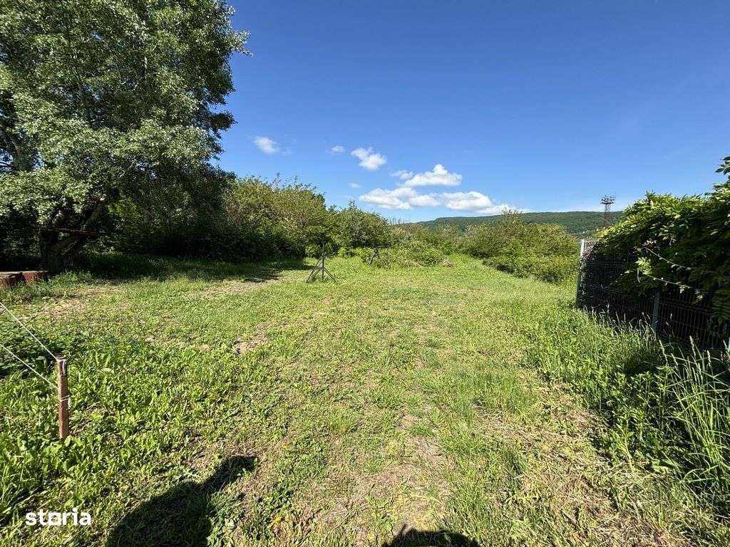 Teren Bujoreni Olteni-3