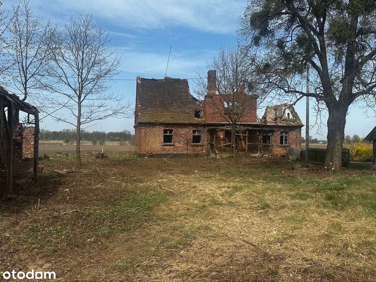 Działka rolno-budowlana - Pełny obrazek: 5/13