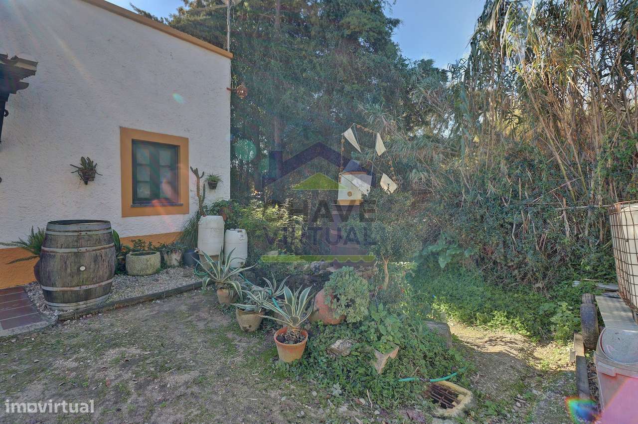 Magnífica Quinta c/ 10.490 m2 Concelho Cadaval-13