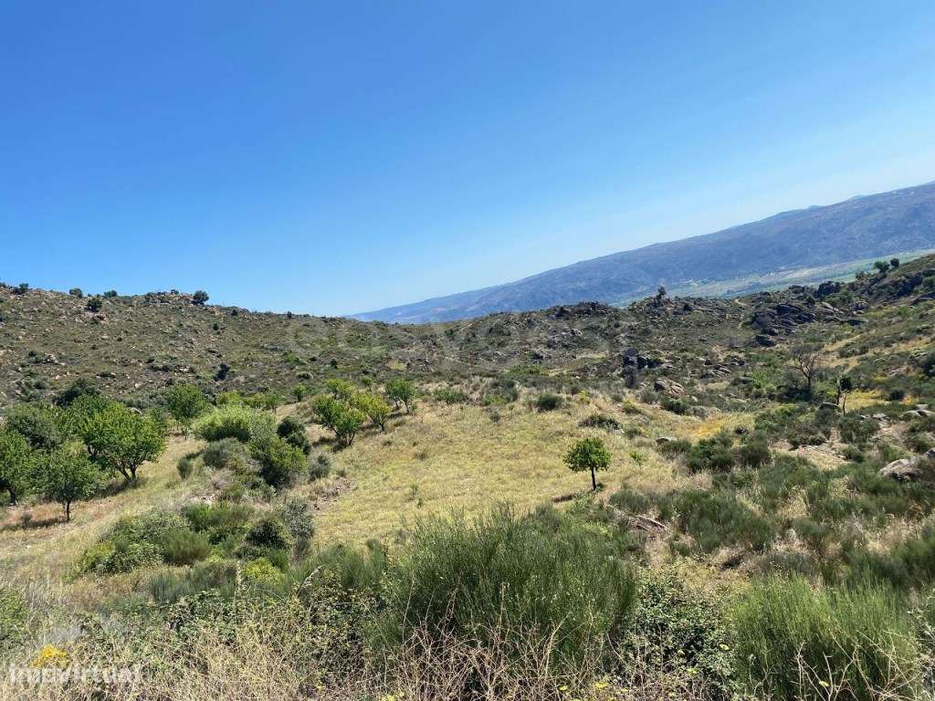 Quinta do Peso, com vista para o rio Sabor - Grande imagem: 5/13