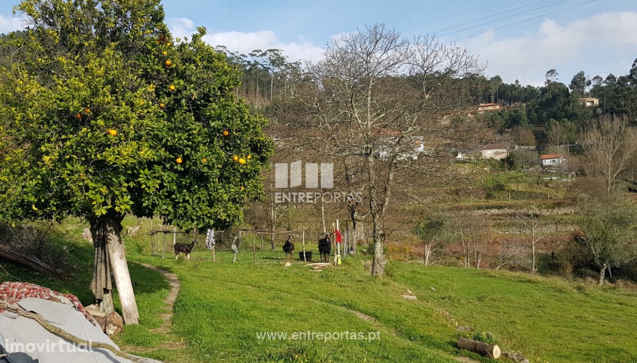 Venda Terreno Urbano, Penha Longa, Marco de Canaveses