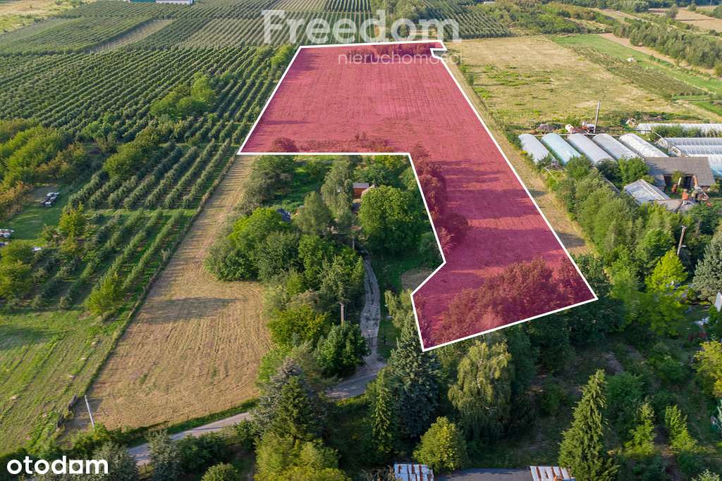 Działka 3300 m2 Marianka - Pełny obrazek: 5/18