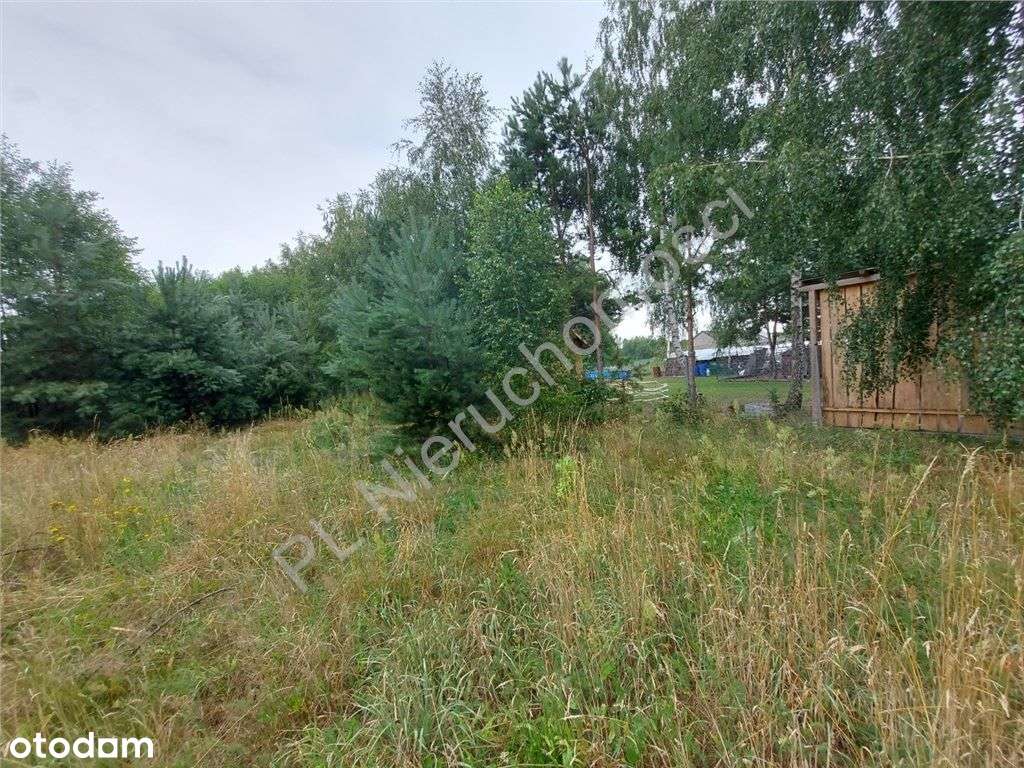 Działka Budowlana W Głuszy Rezerwatu-17