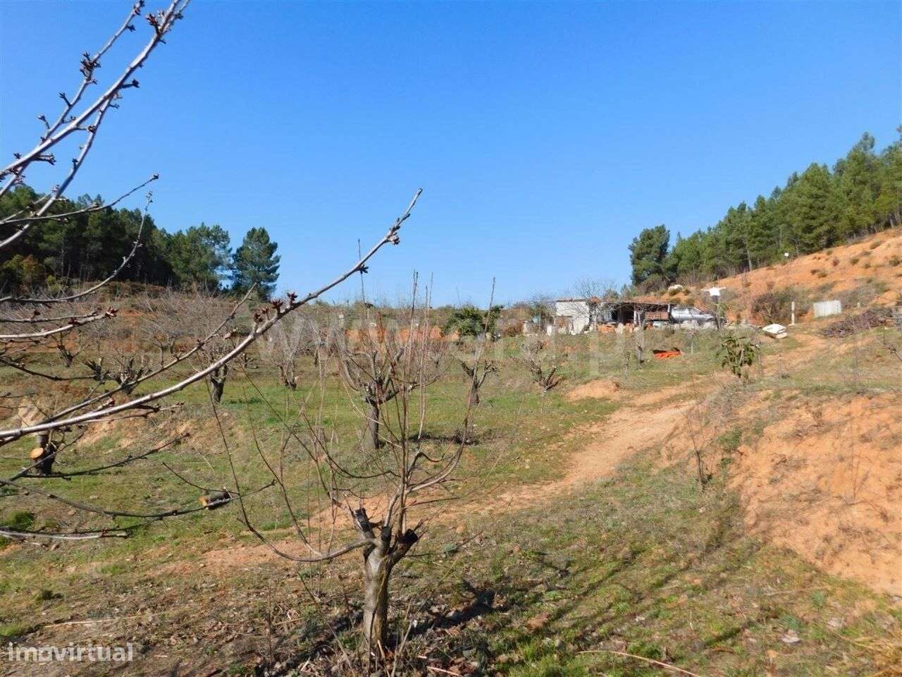 Quinta / Fundão, Alcaide - Grande imagem: 4/4