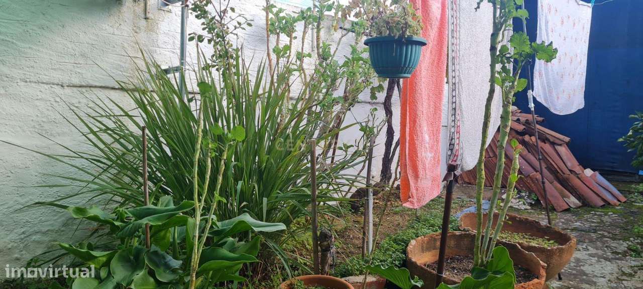 Viver na paisagem alentejana – T2 na Vidigueira-14