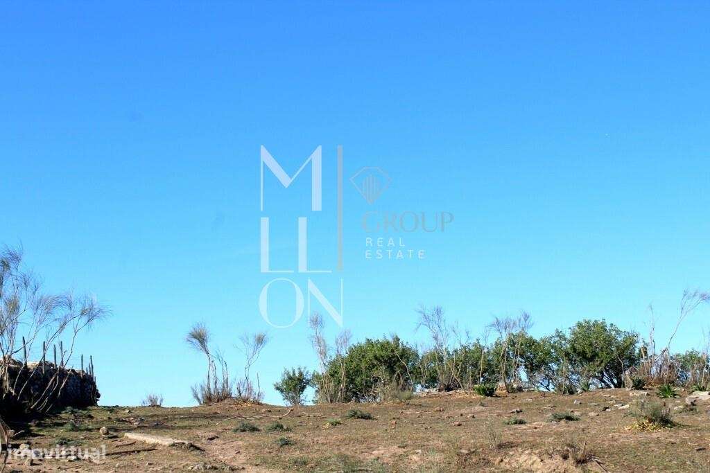 Herdade  com 11,25ha situada na aldeia ribeirinha da Granja, concelho - Grande imagem: 4/21