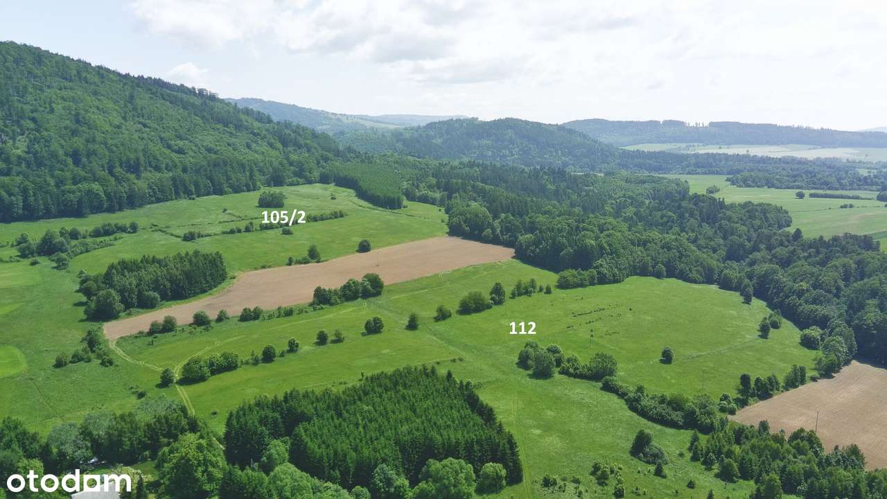 Na Sprzedaż Pięknie Położony Grunt Rolny w Kotlinie Kłodzkiej-3