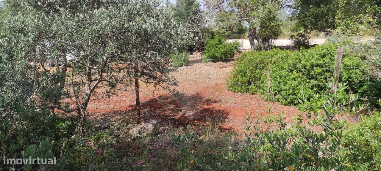 Terreno  para venda - Grande imagem: 3/12