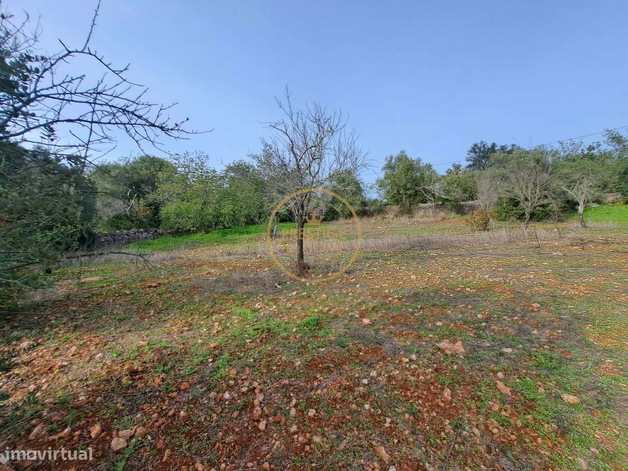 TERRENO COM PROJETO ARQUITETURA APROVADO PARA MORADIA T3 - CORCITOS-6