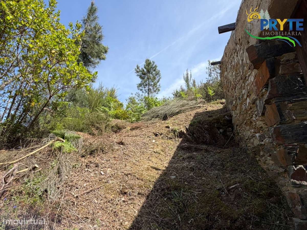 Terreno com uma ruína não registada a 6 quilómetros da Sertã-26