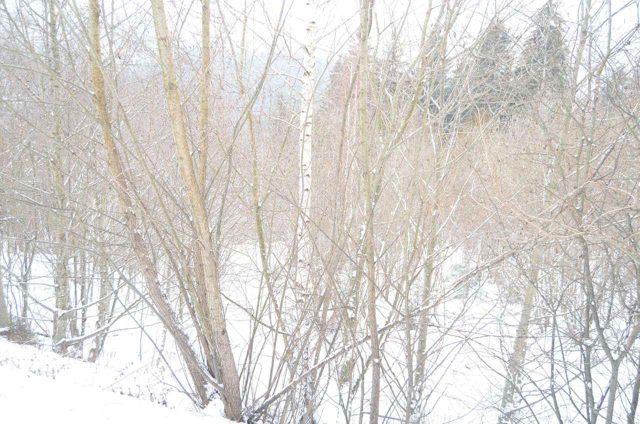 Teren intravilan situat in Predeal-4