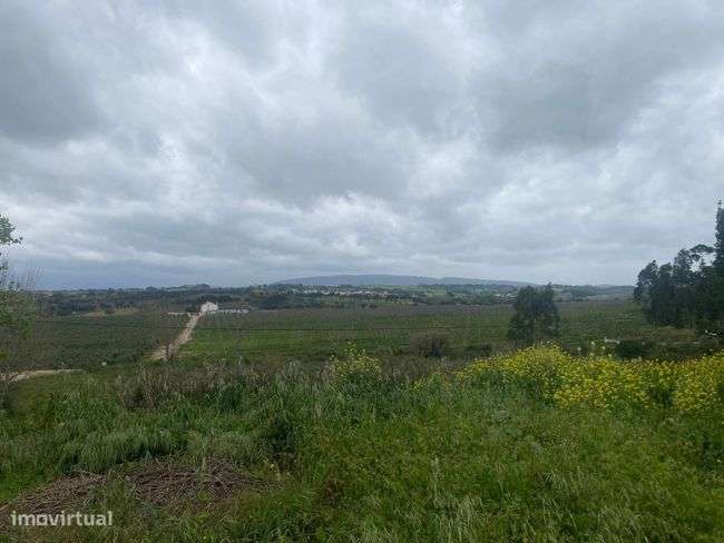 Fantástico terreno para construçao - Grande imagem: 4/4