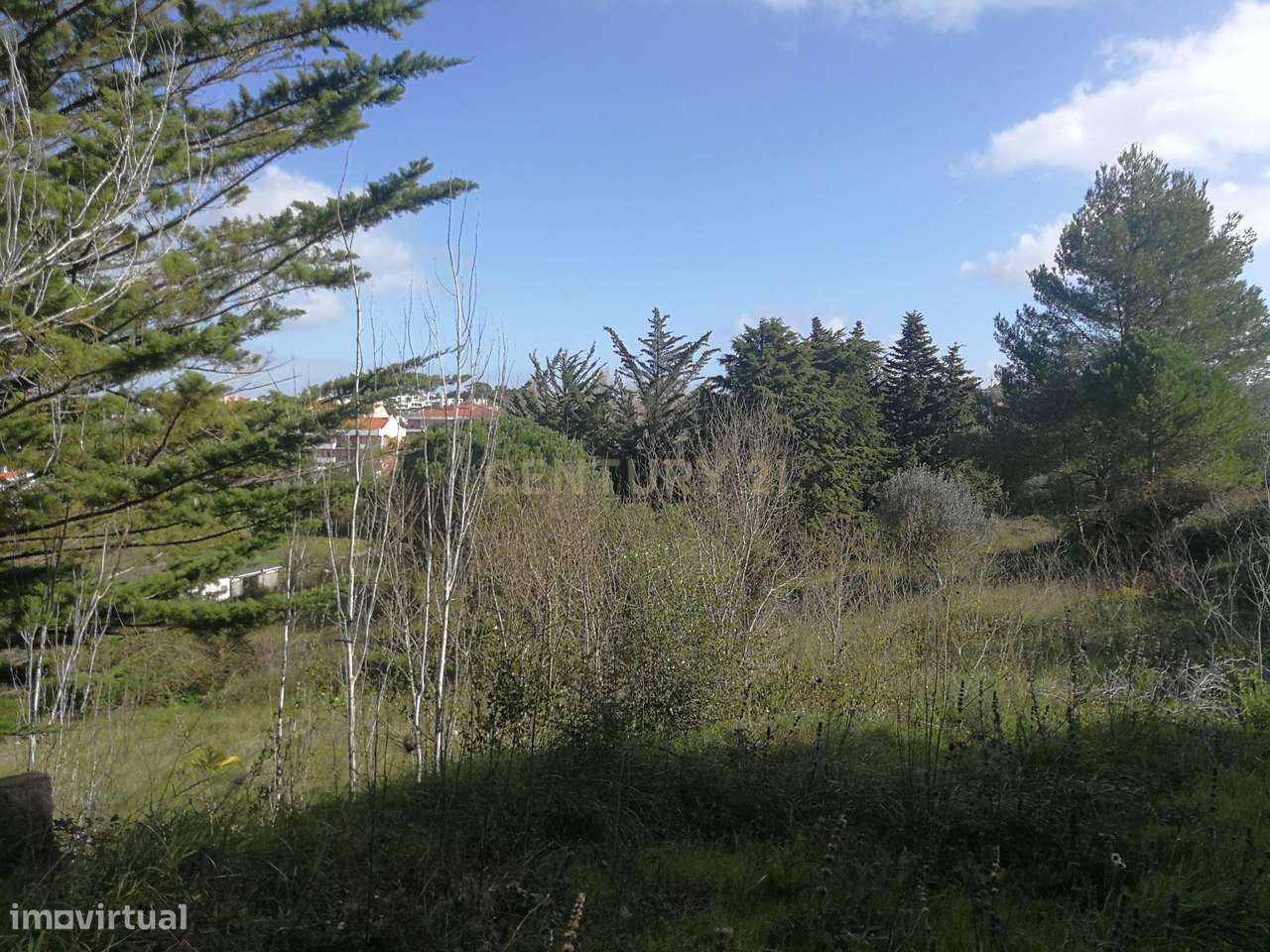 Terreno Rustico – Lourel Sintra - Grande imagem: 5/22