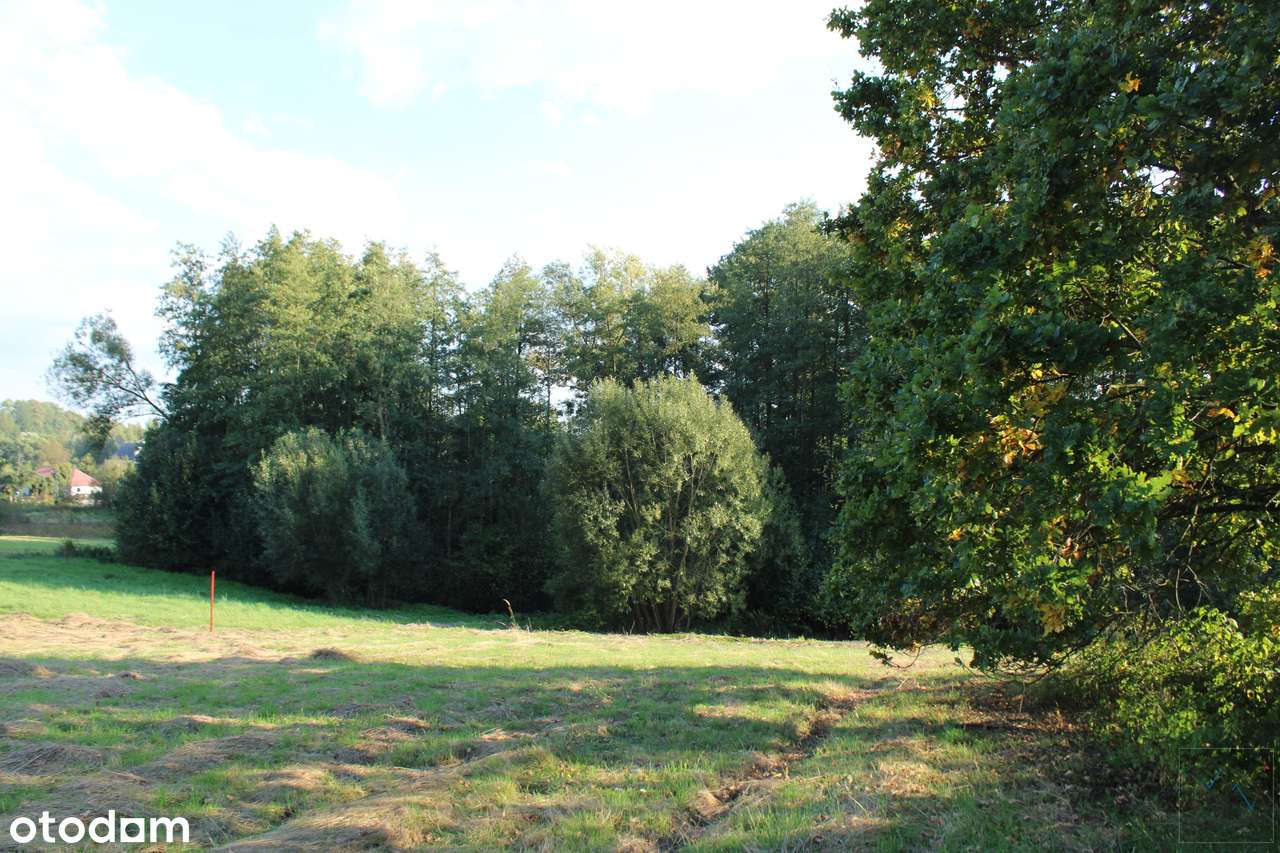Dobranowice - działka budowlano-leśna o powierzchni 36 arów. - Pełny obrazek: 5/9