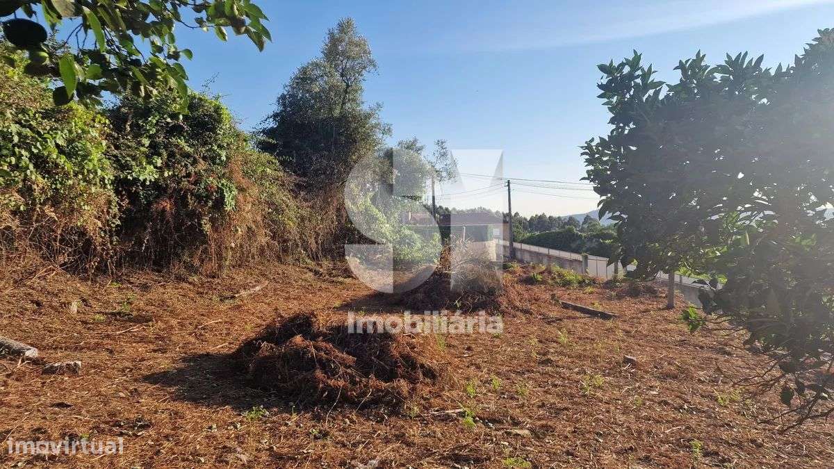 Terreno - potencial de investimento - Astromil - Paredes-33