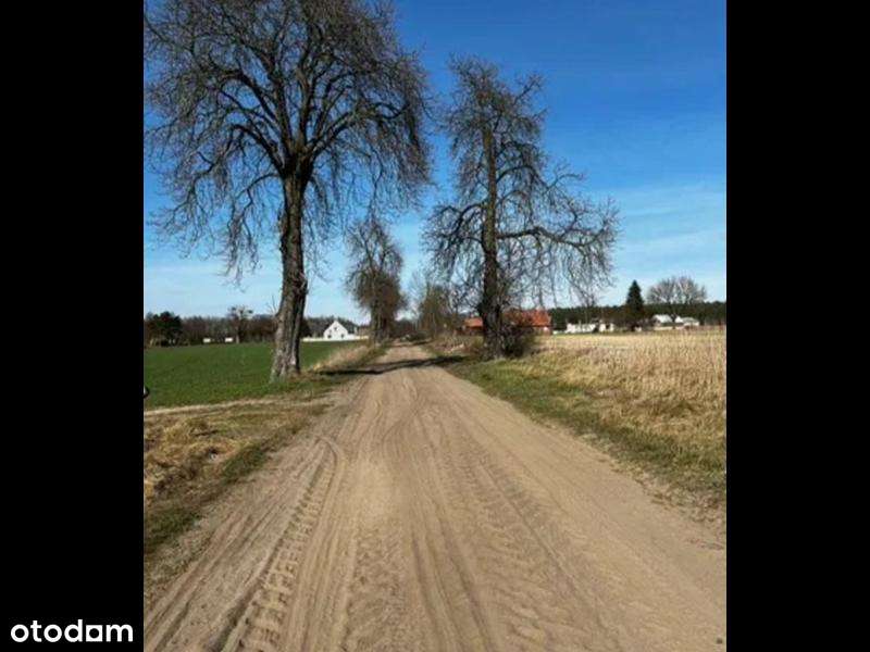 Działki budowlane z WZ blisko jeziora!! - Pełny obrazek: 5/6