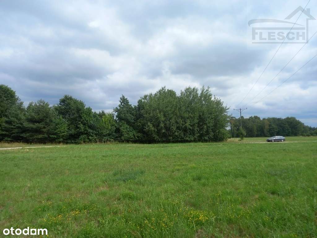 Działka budowlana 2681 Młochów - Pełny obrazek: 4/7
