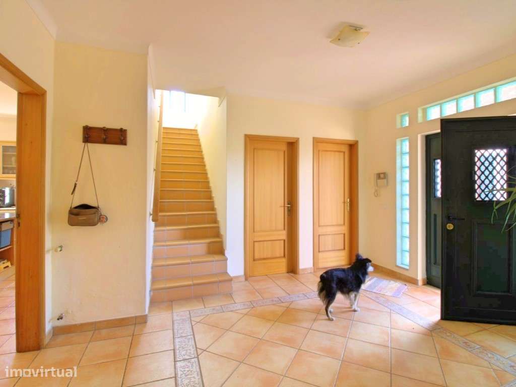 Excelente Moradia com terreno e piscina no concelho de Lagoa - Grande imagem: 5/60