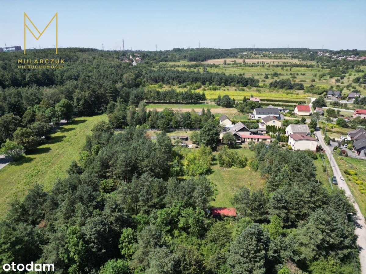 Działka 2758 m² w otoczeniu lasu - Łęka-8