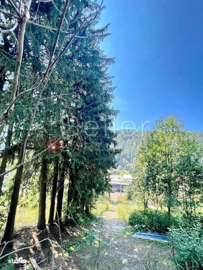 Teren Intravilan Predeal - Acces direct DN - Priveliste deosebita - Imagine principală: 4/20